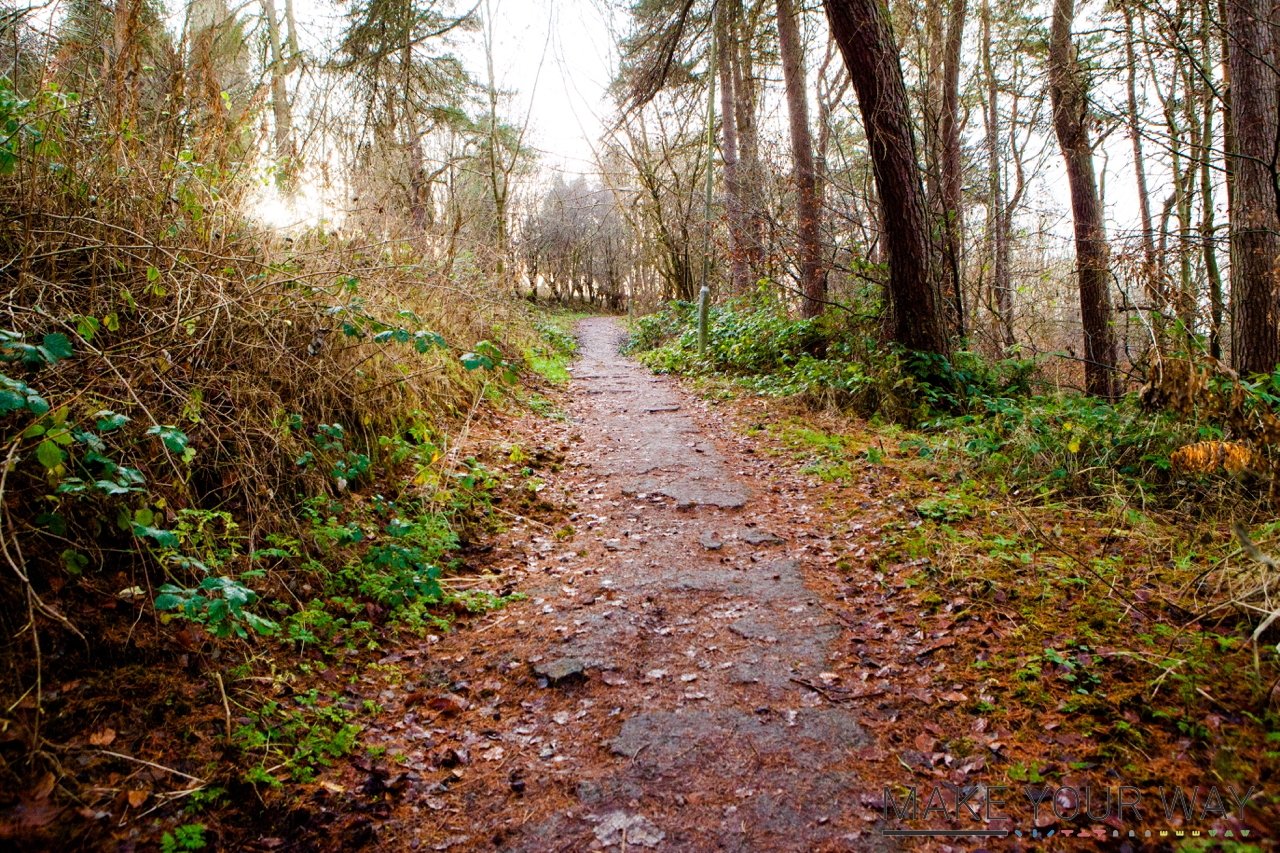 Make Your Way Carluke Edgelands